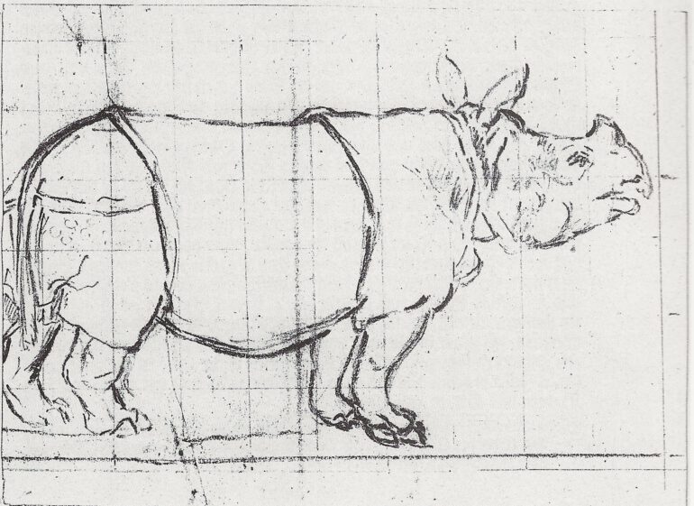 Clara drawn by A.A. Beck 1746