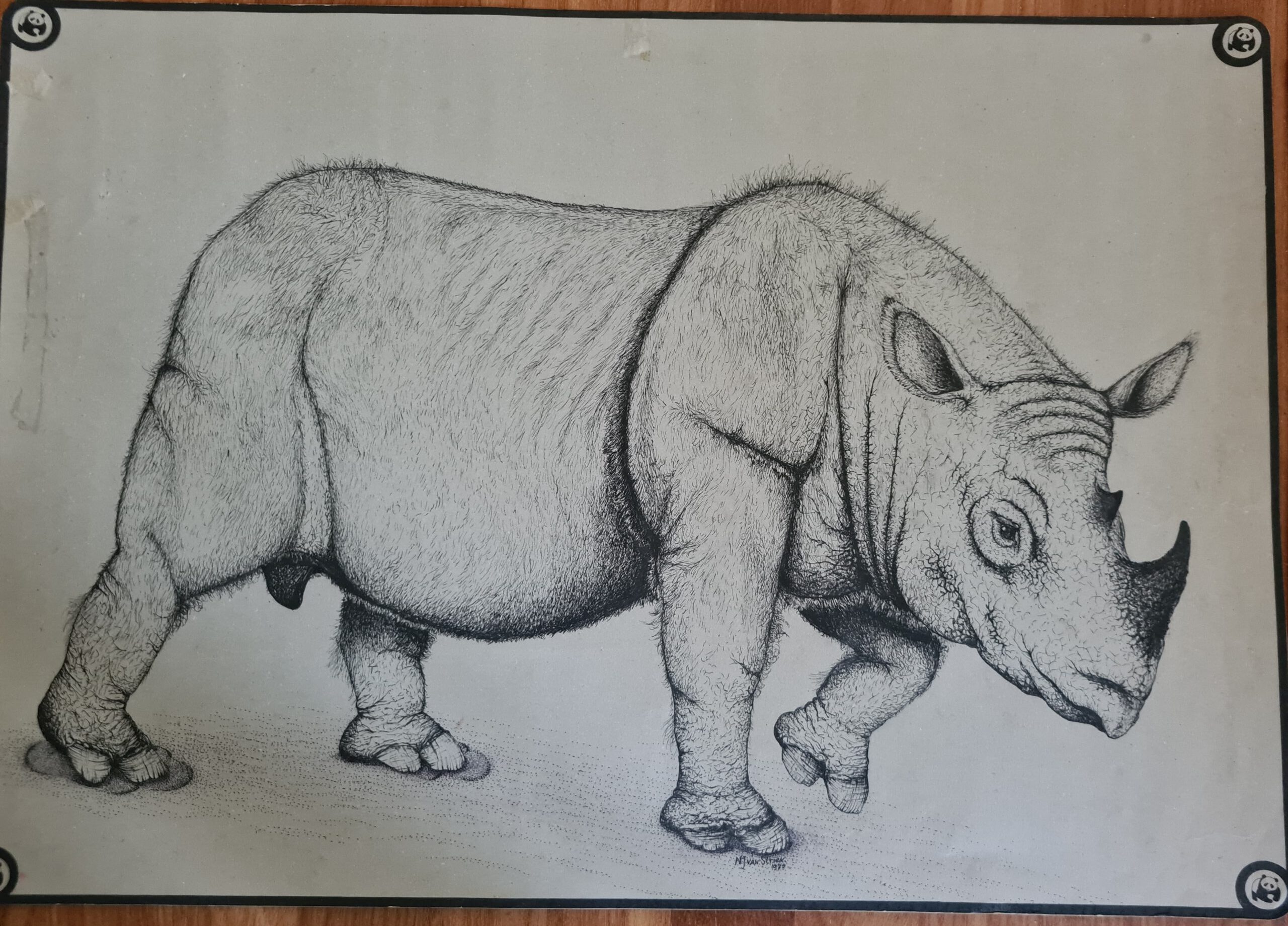 Van Strien 1970 Sumatran rhino