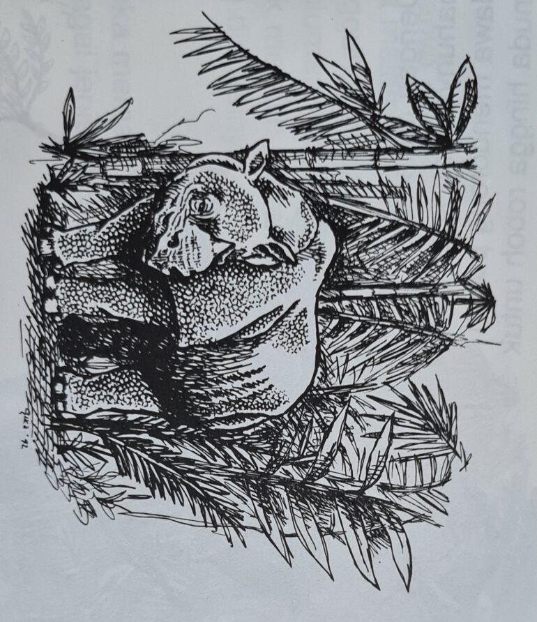 Javan rhino in forest