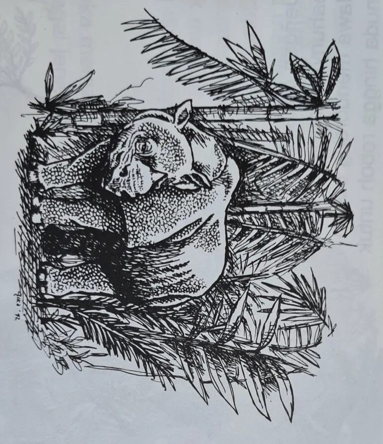 Javan rhino in forest