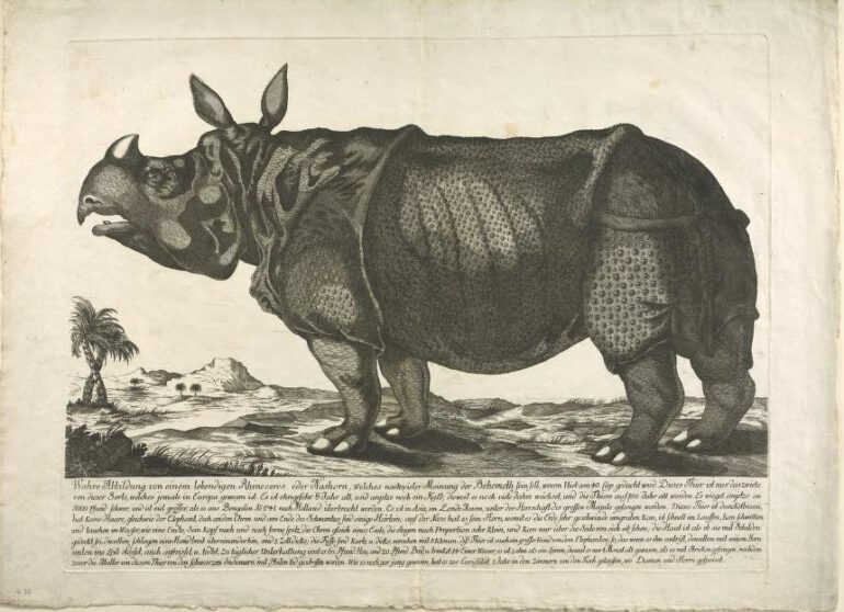 Clara 1747 Undated without place