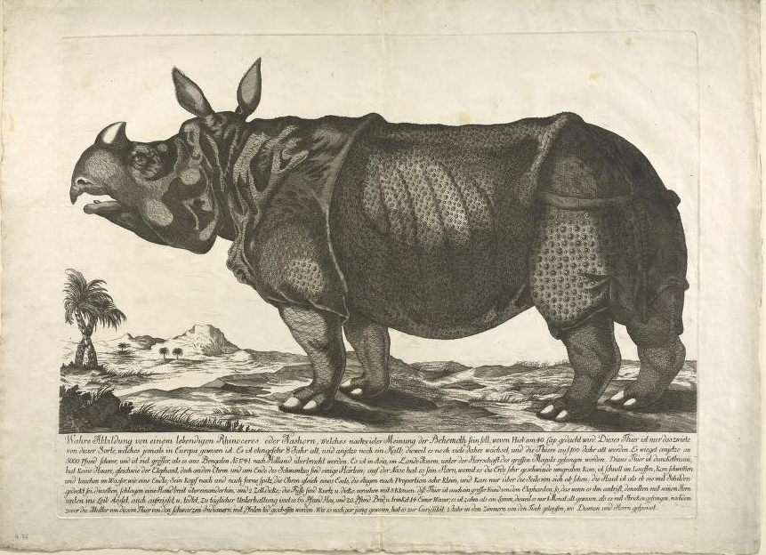 Clara 1747 Undated without place