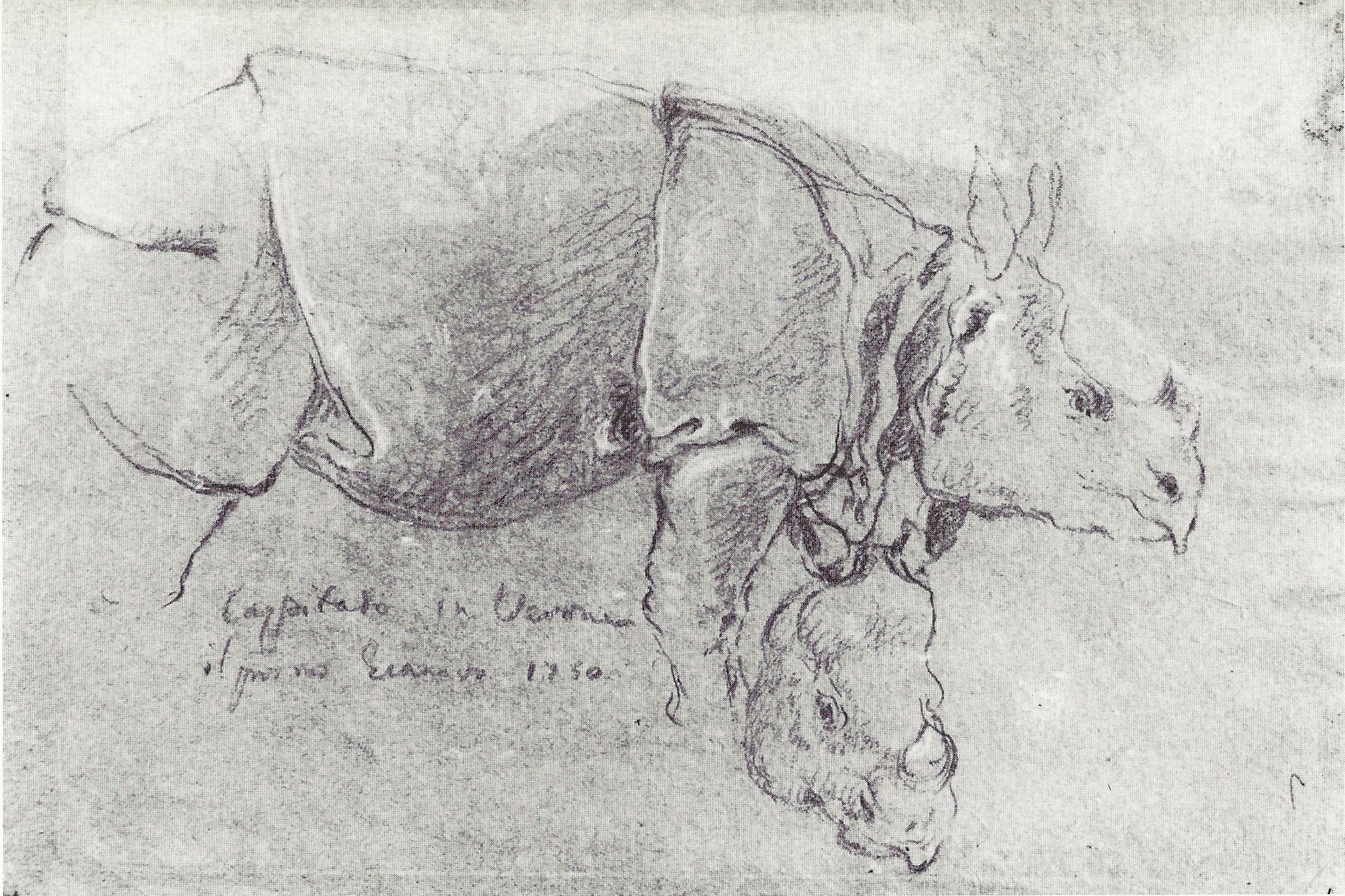 Lorenzi 1751 Clara in Verona