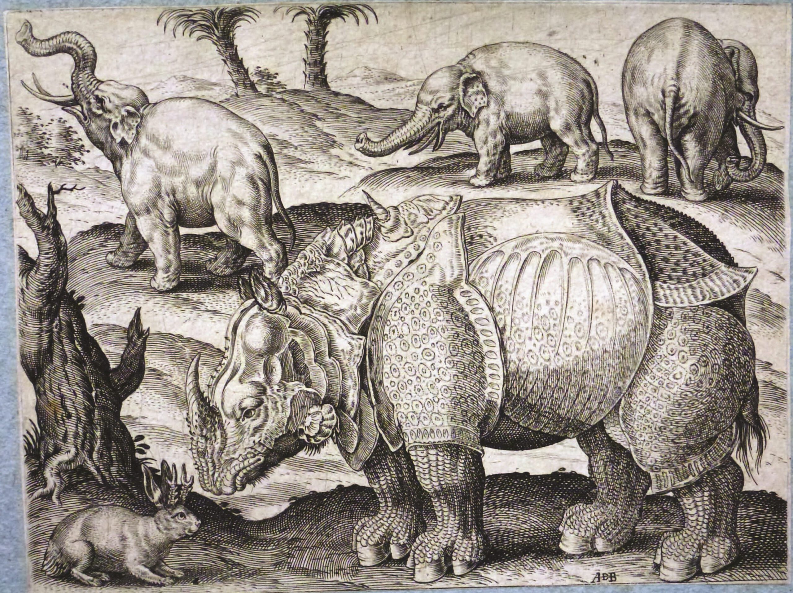 De Bruyn 1583 Rhino and elephants
