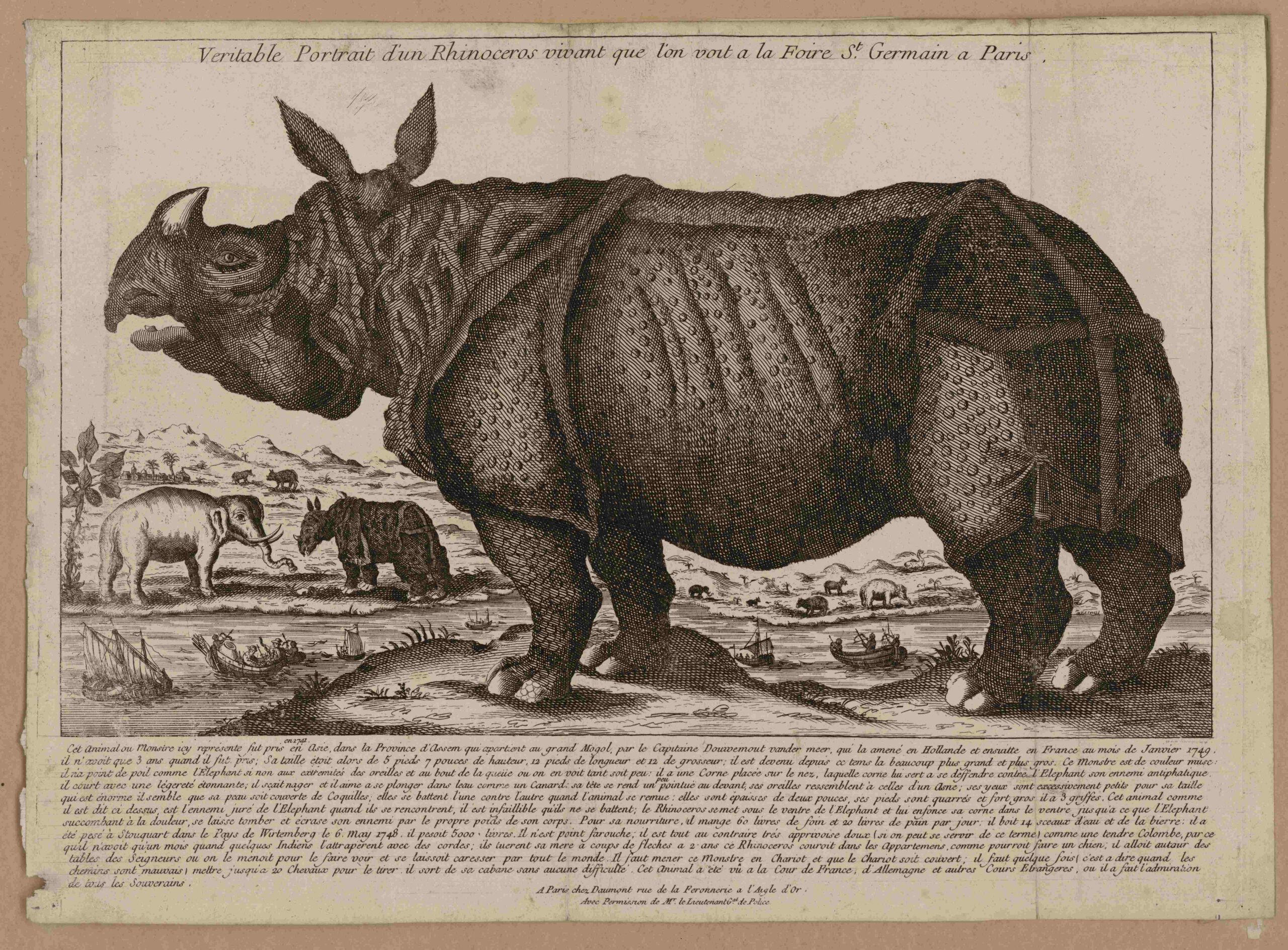 Daumont 1749 Clara at Foire St Germain