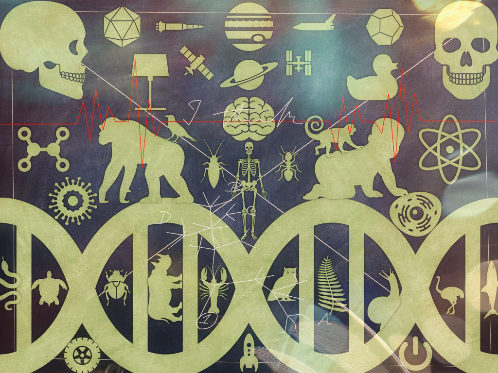 Science