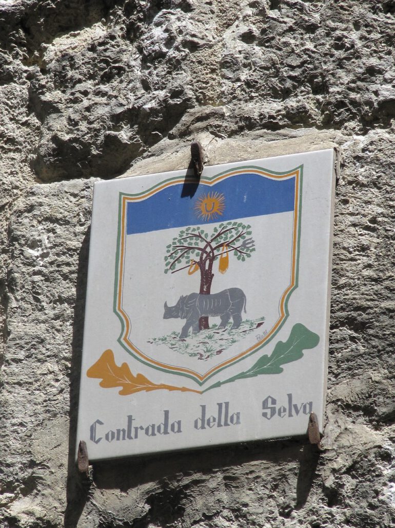 Siena Contrada della Selva