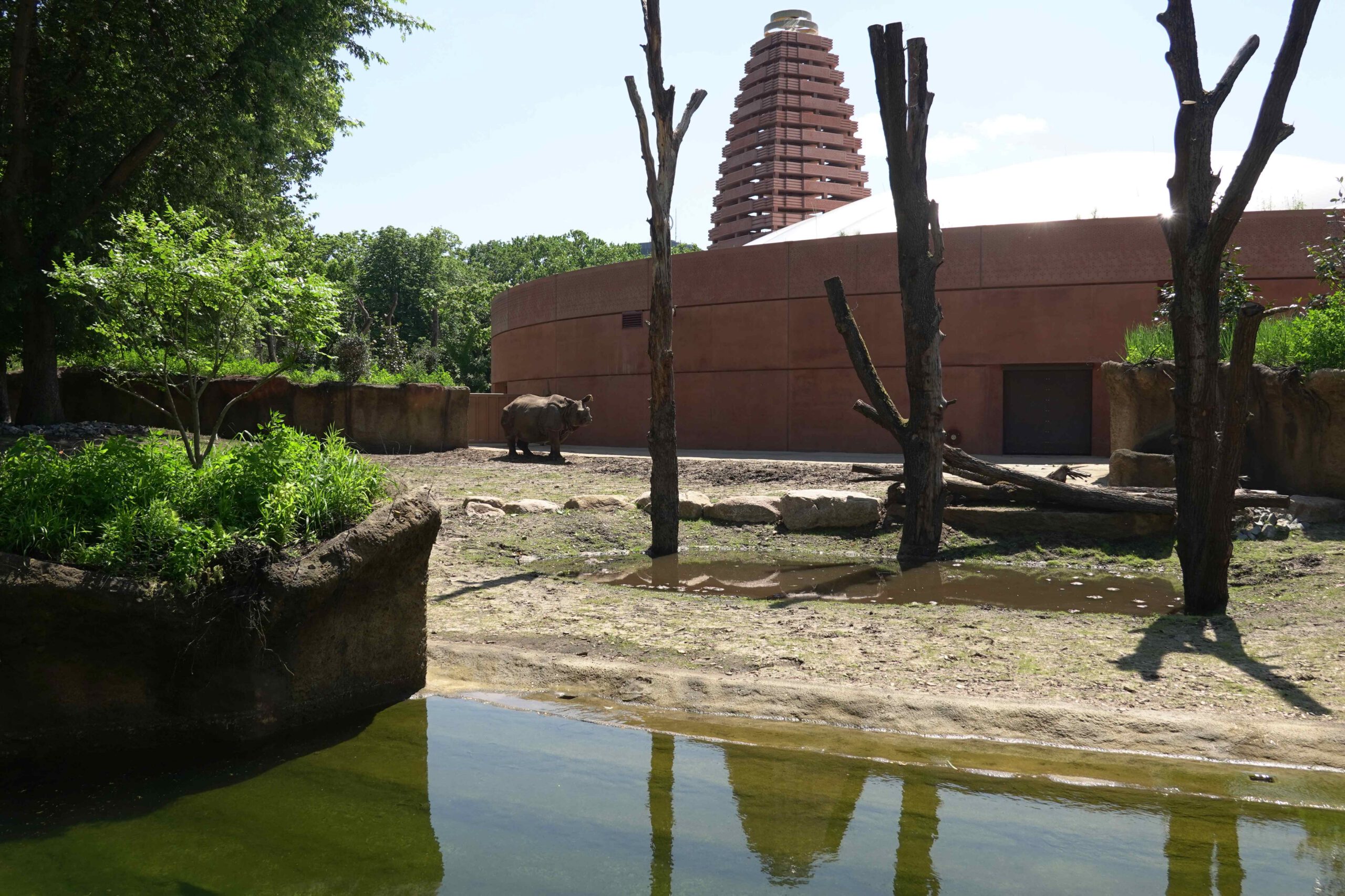 Rhino Pagoda – Berlin Zoo