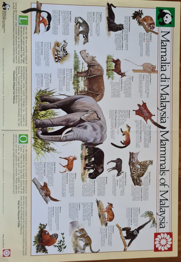 Mammals of Malaysia
