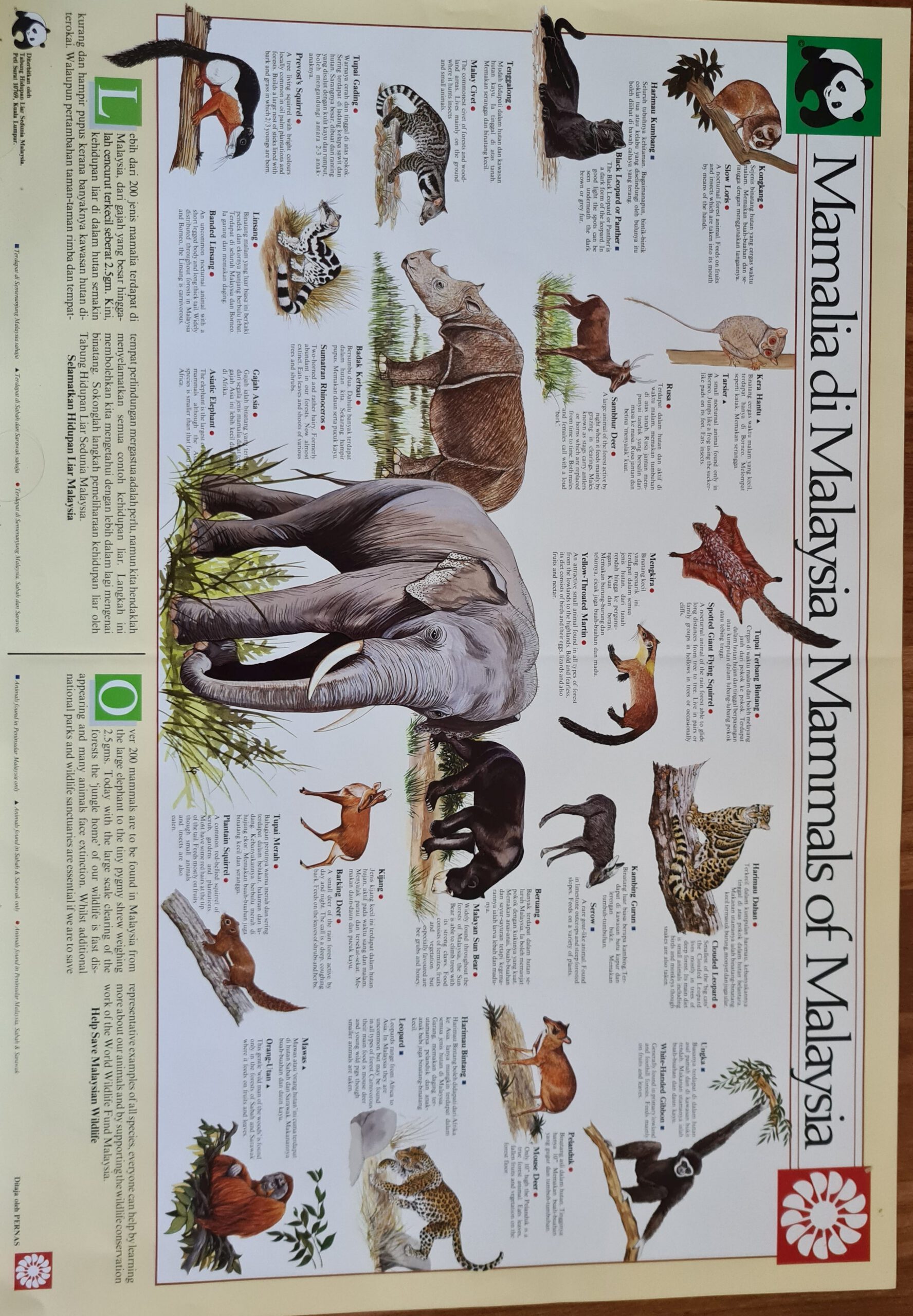 Mammals of Malaysia