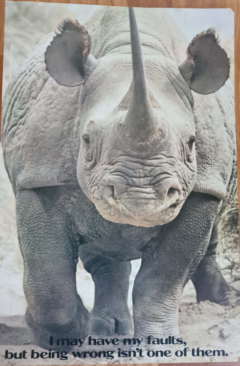 I may have my faults