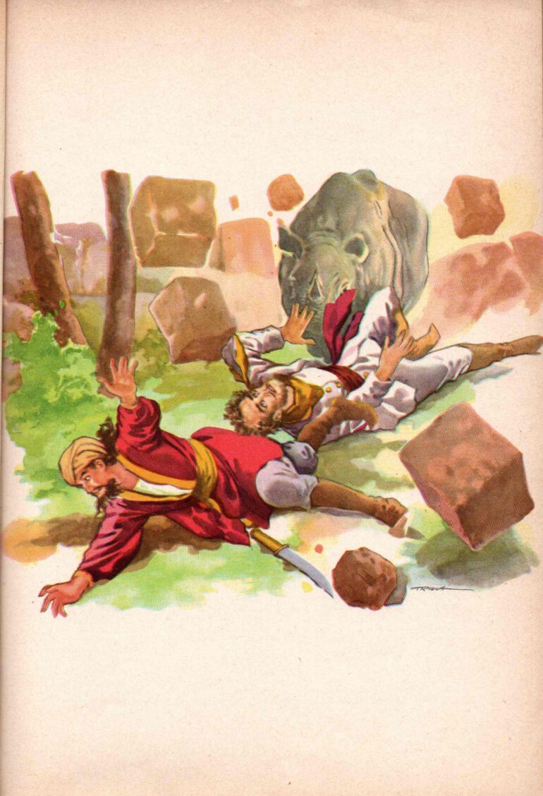 Salgari 1967 Due tigri