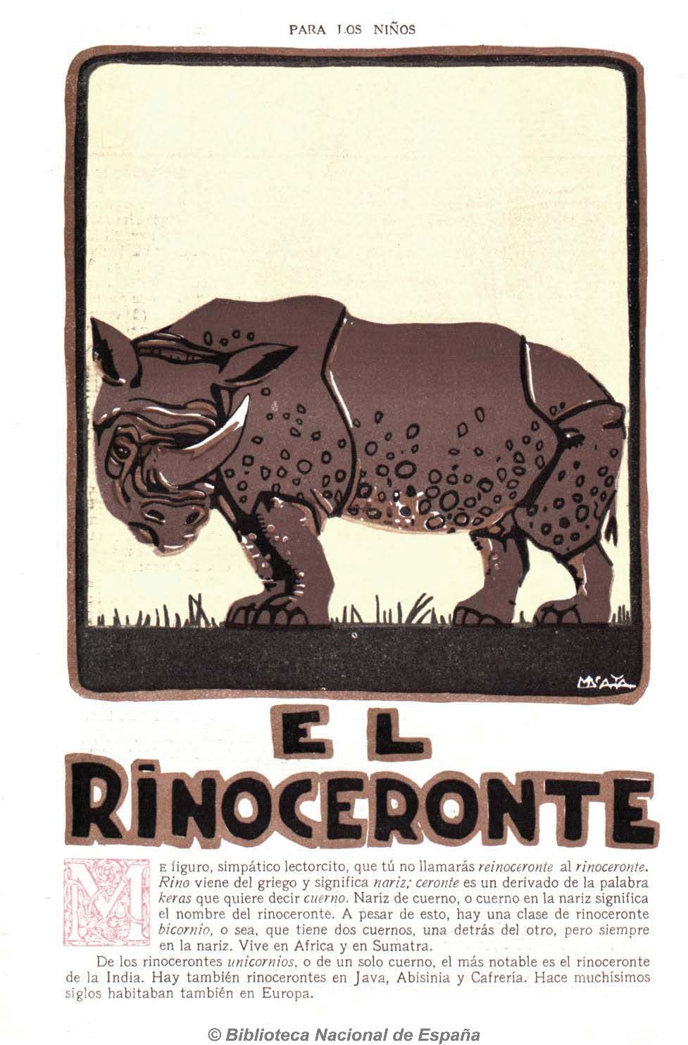El Rinoceronte 1920