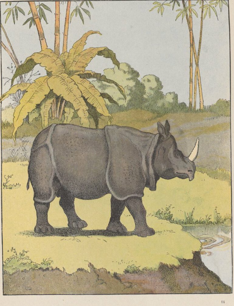 Rabier 1924 Buffon edition