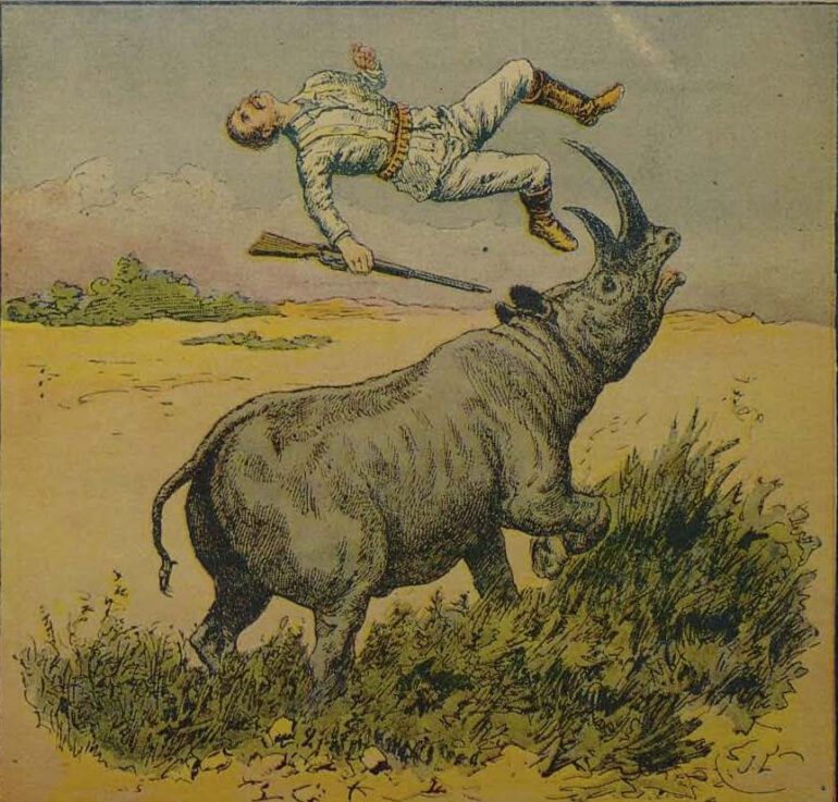 On the horns of a rhino