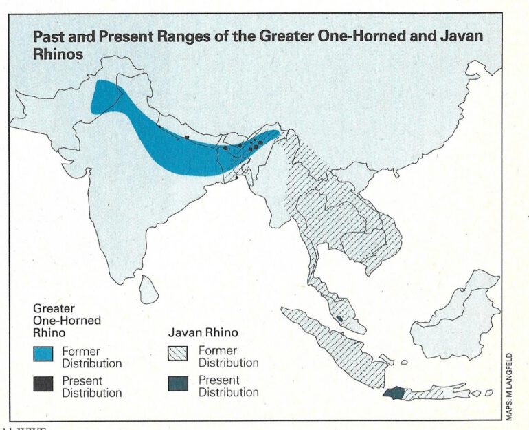 Range of Asian rhinos