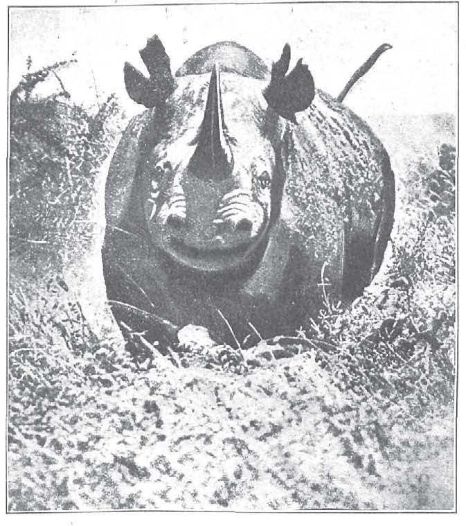 Alderedor 1927 attack