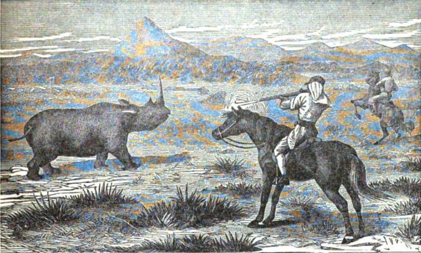 Shooting at a rhino