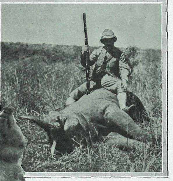 Medinaceli in East Africa