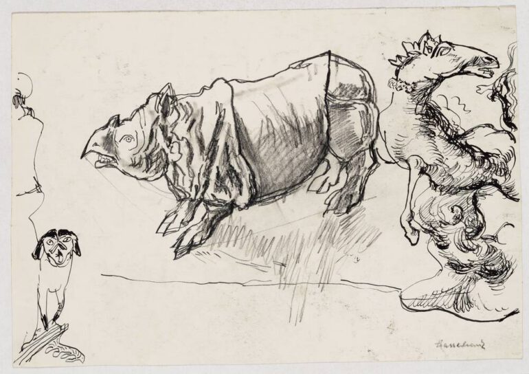 Drawing by Hassebrauk