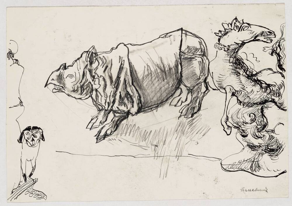 Drawing by Hassebrauk