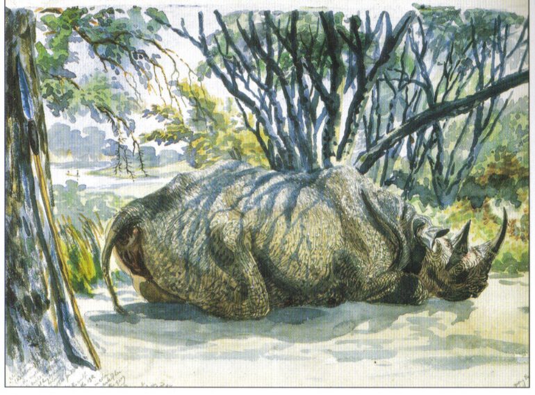 Keitloa on Botletle River 1862