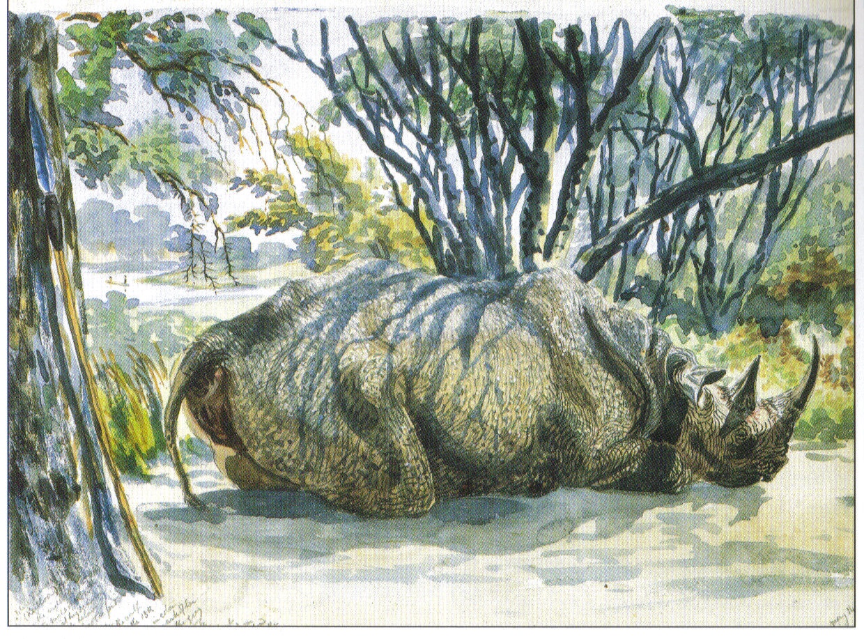 Keitloa on Botletle River 1862