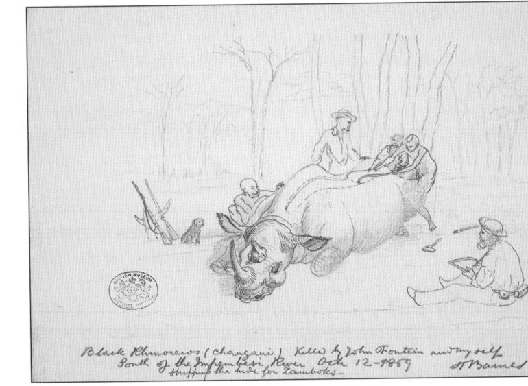 Baines 1869 Impenbesi River