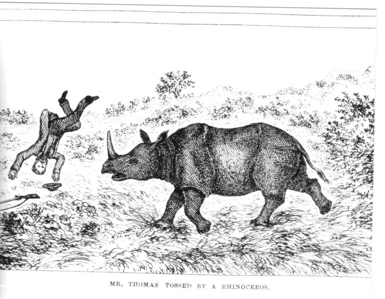 Rev Thomas tossed by black rhino