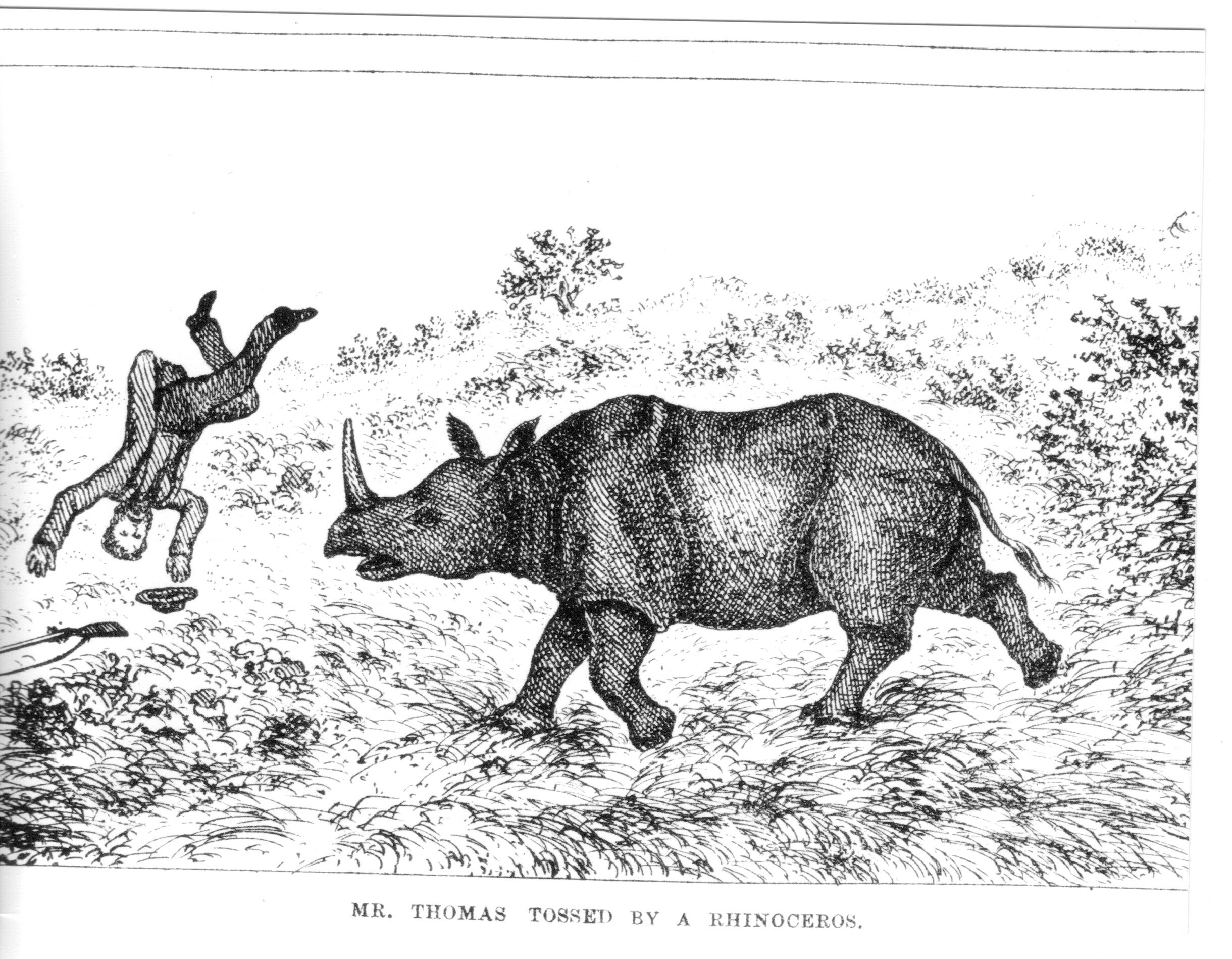 Rev Thomas tossed by black rhino