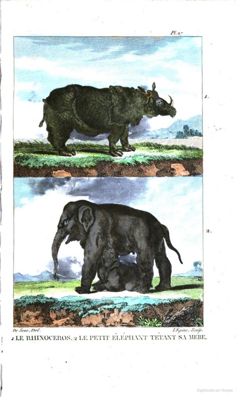 Buffon 1822 Duthilloeul