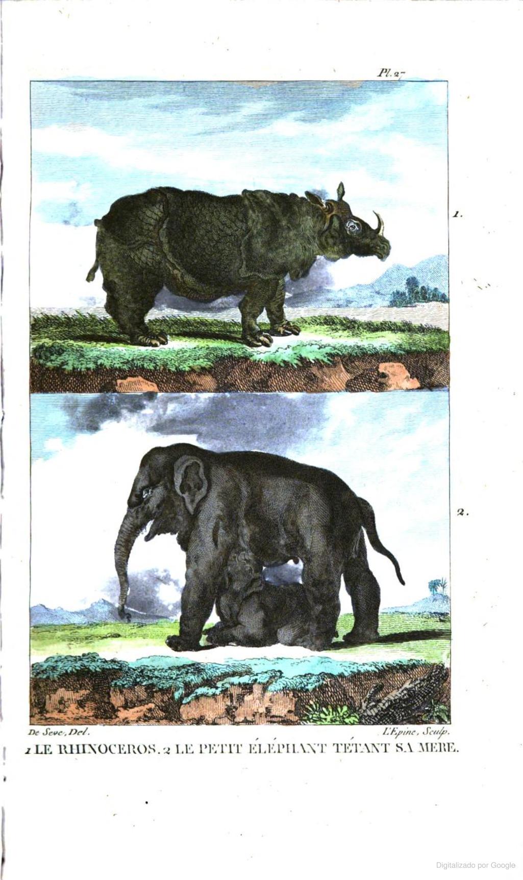 Buffon 1822 Duthilloeul