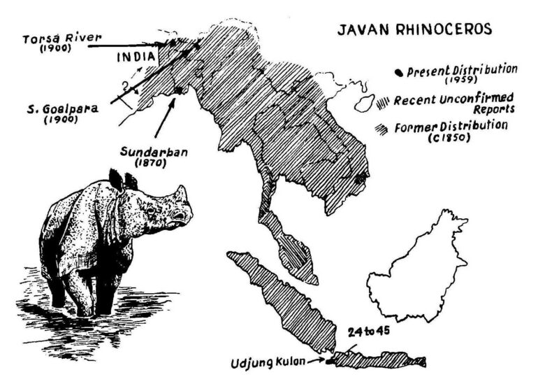 Historical range of R. sondaicus 1966
