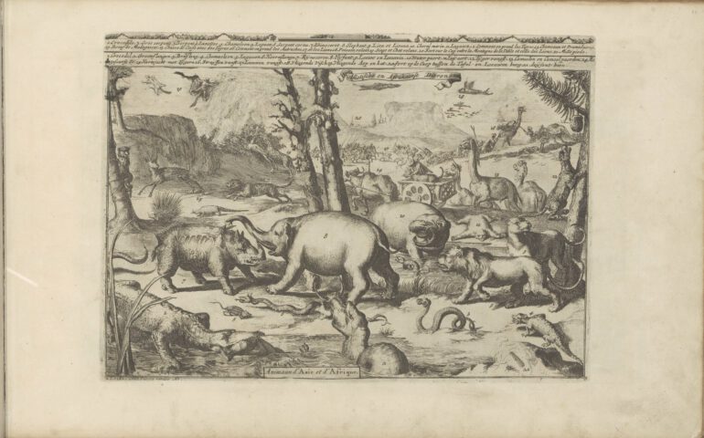 Animals of Asia and Africa