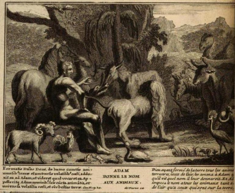 De Marne 1730 Paradise