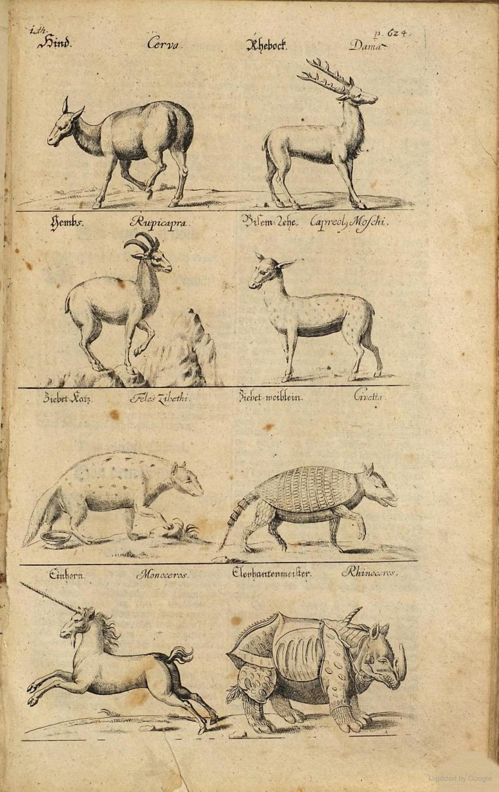 Bibliotec 1719 Elephantenmeister
