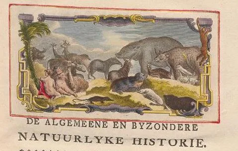Buffon 1785 Vignet