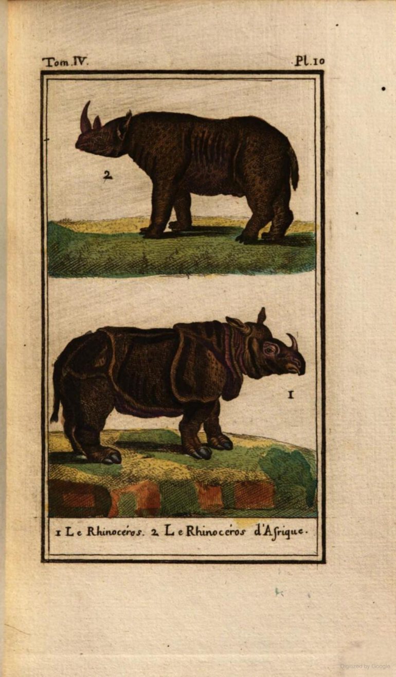 Holandre 1790 after Buffon