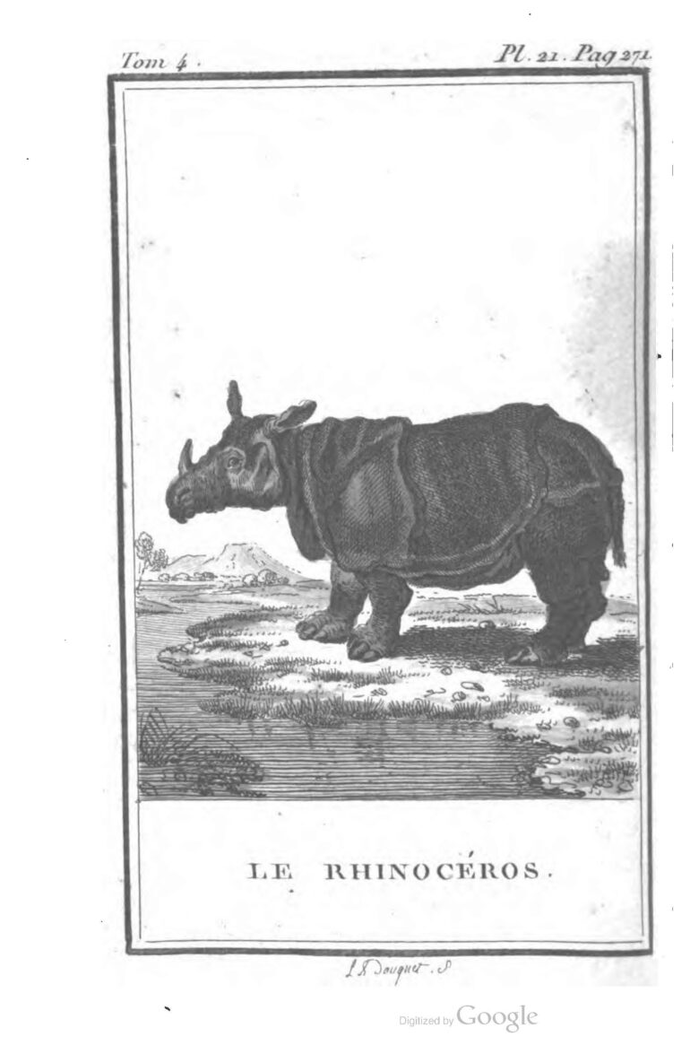 Buffon 1799 vol 4 pl 21