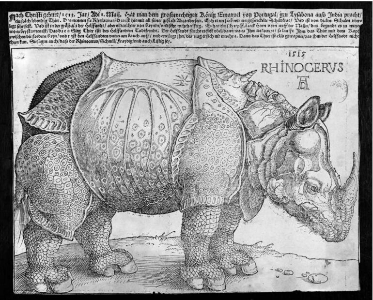 Durer woodcut 1515 3rd state