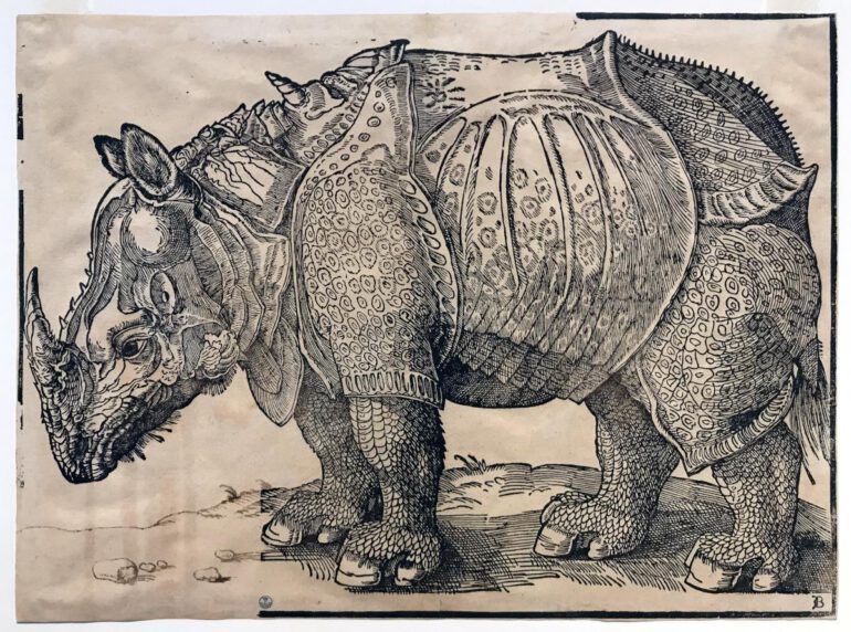 Durer 1515 copied by Britto
