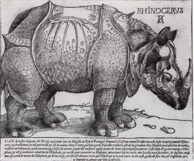Durer 1515 Liefrinck first state in French