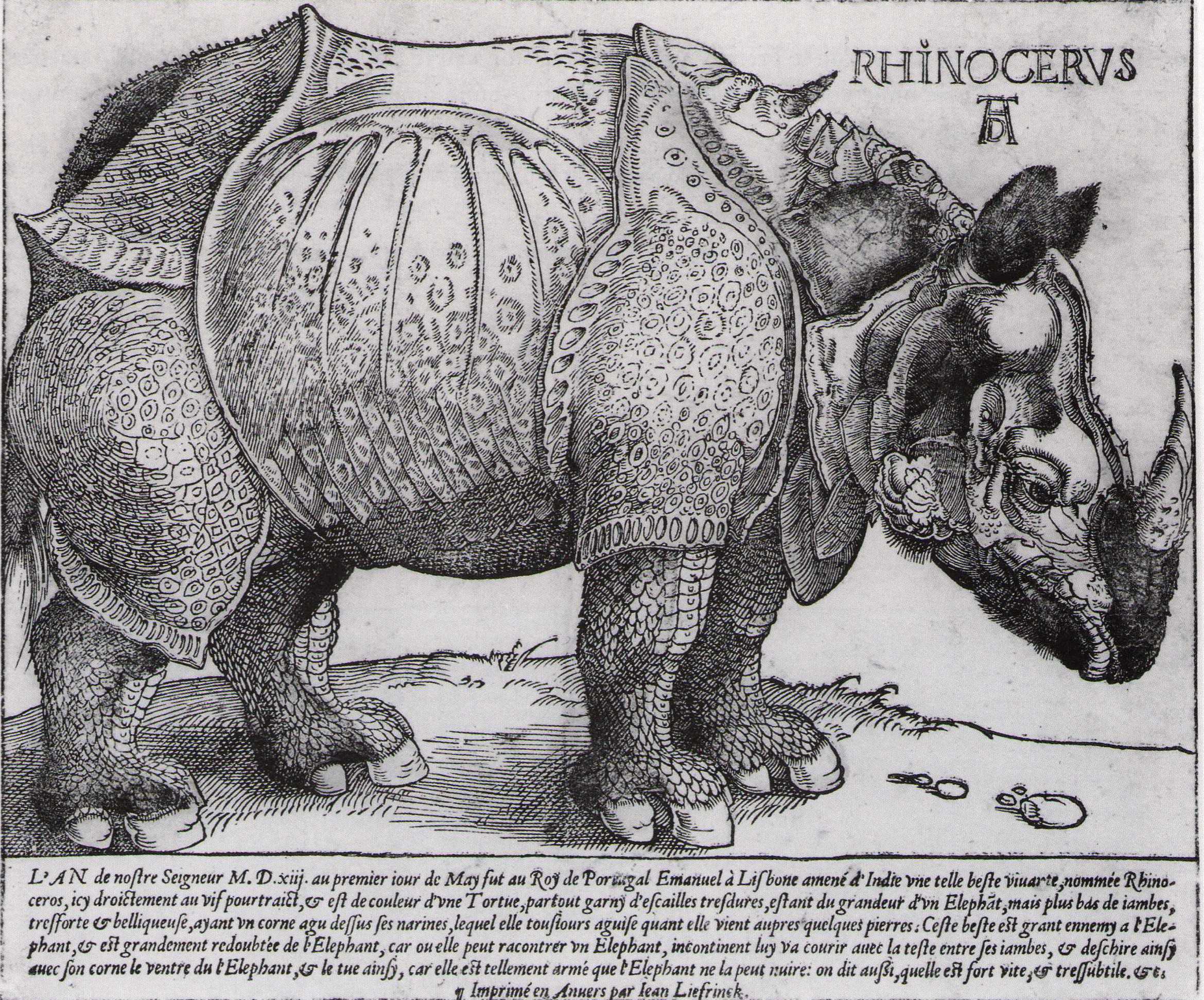 Durer 1515 Liefrinck first state in French