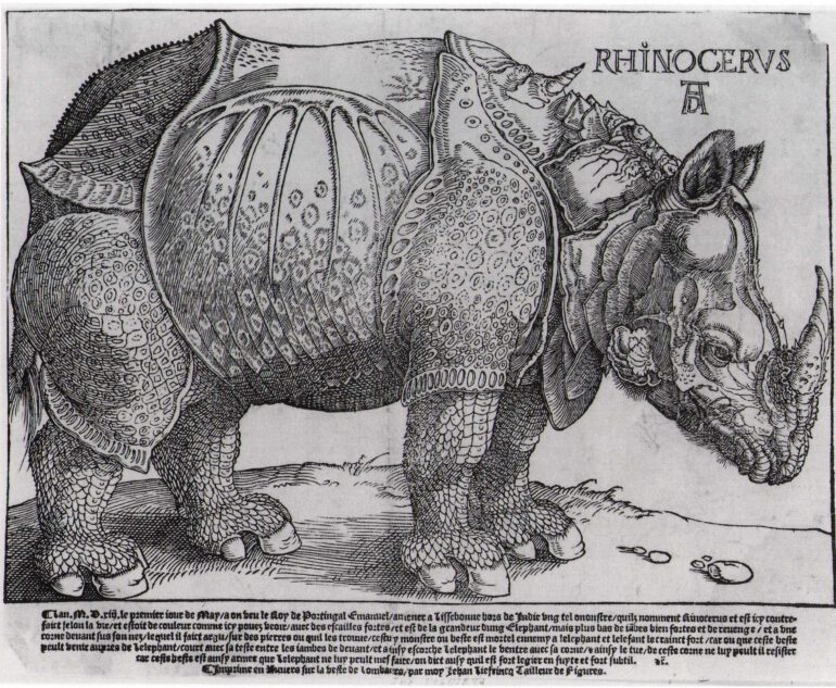 Durer 1515 Liefrinck second state in French