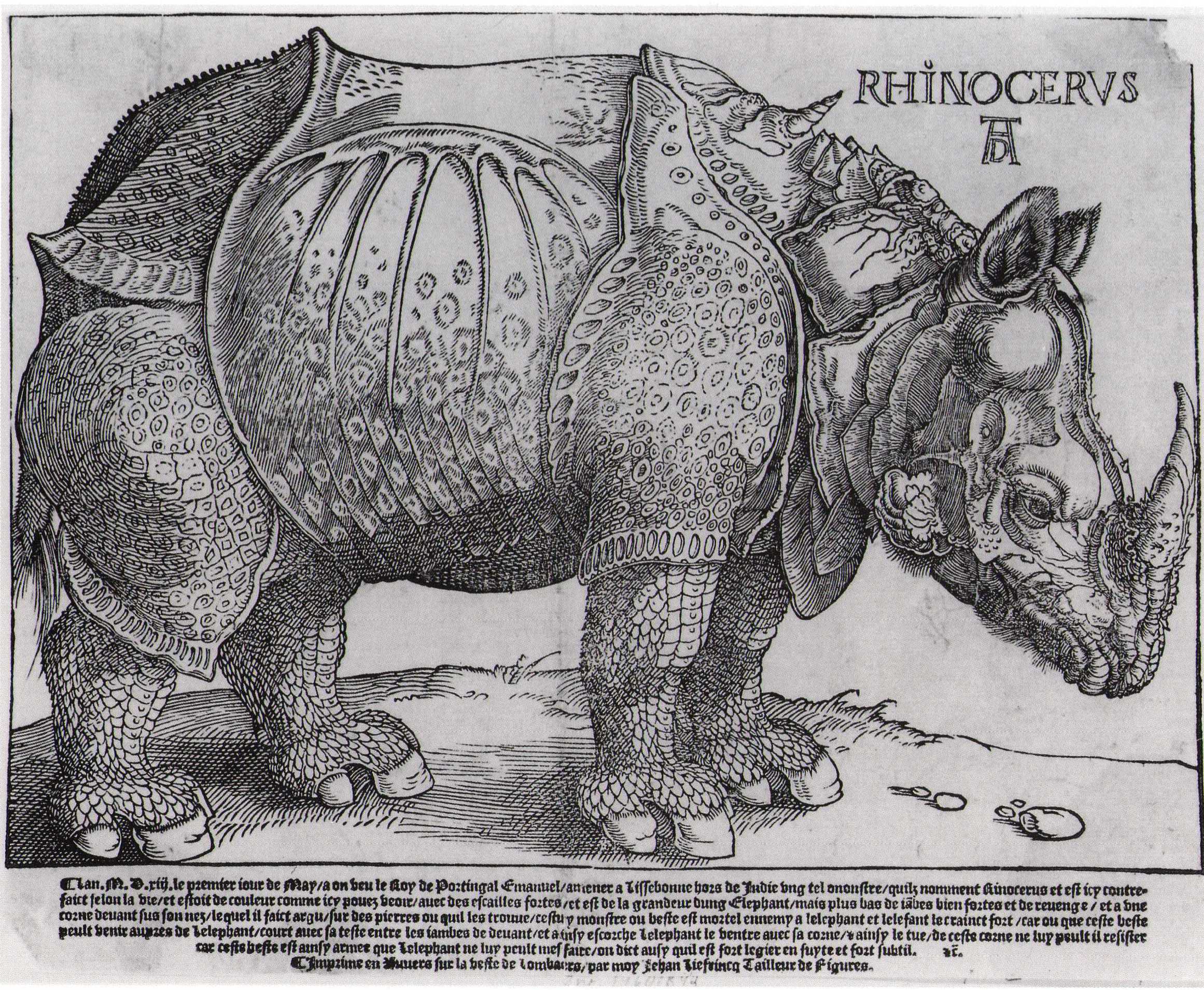 Durer 1515 Liefrinck second state in French