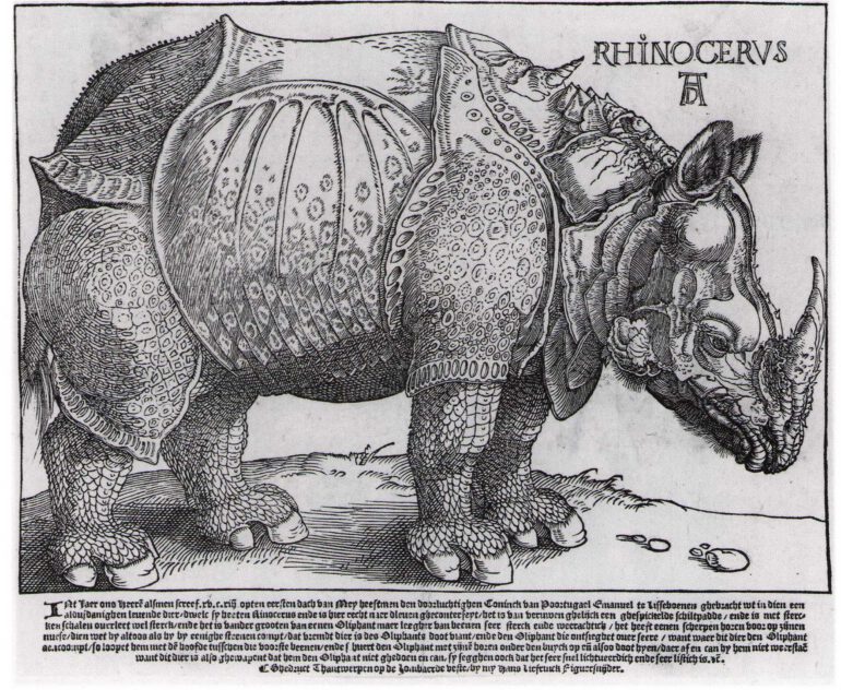 Durer 1515 Liefrinck third state in Dutch