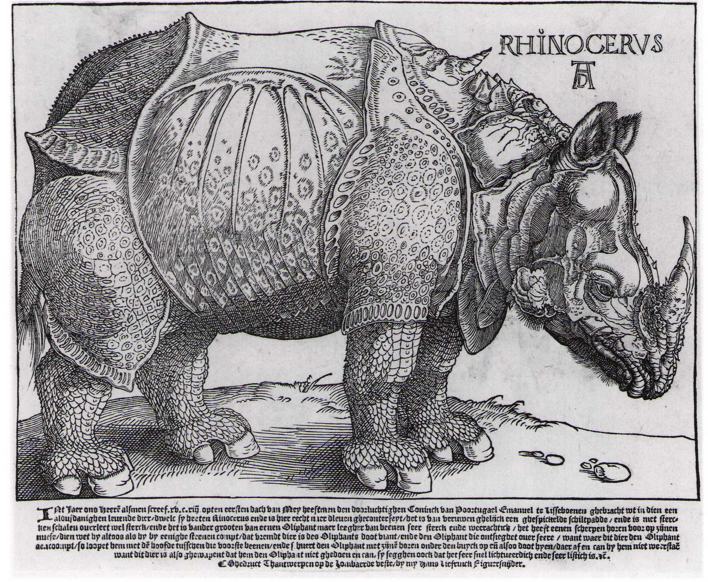 Durer 1515 Liefrinck third state in Dutch