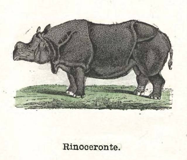 Alfabeto de Mamiferos 1881