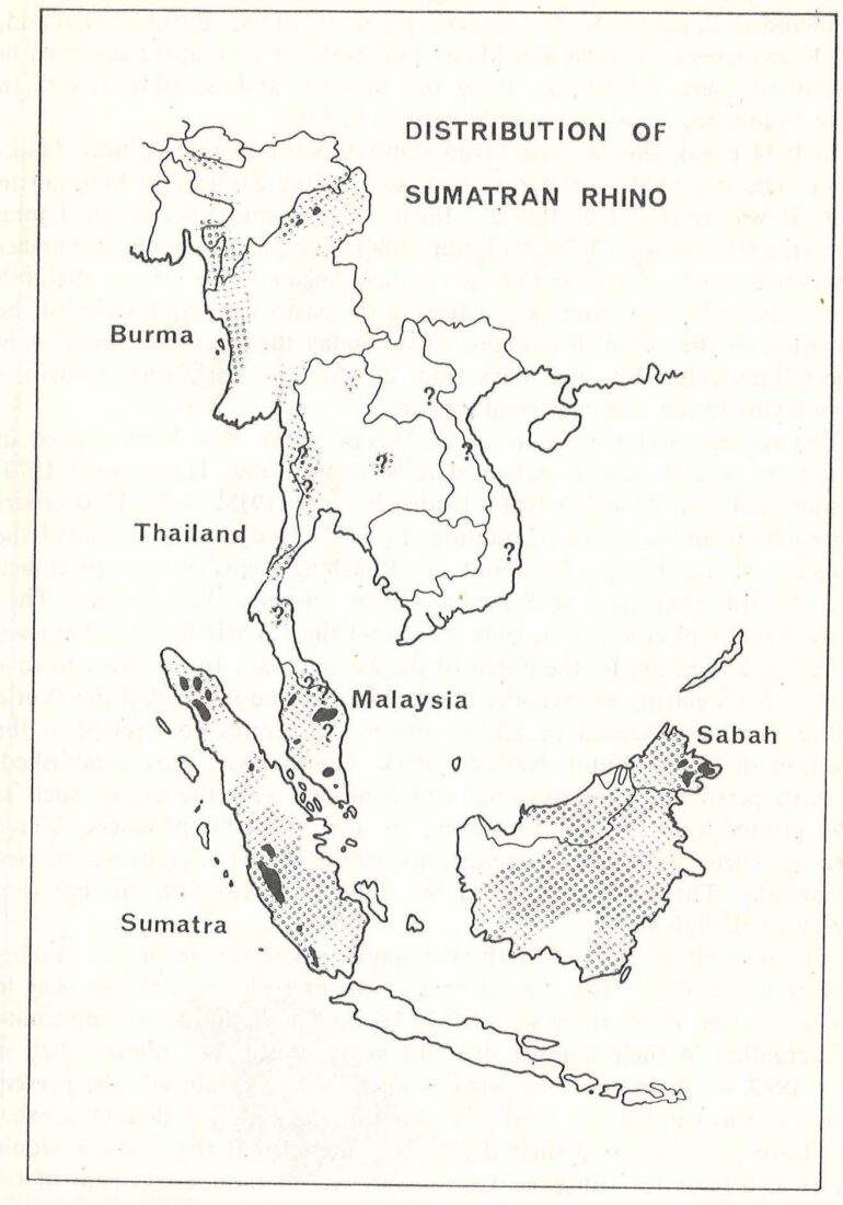 Distribution of Dicerorhinus sumatrensis