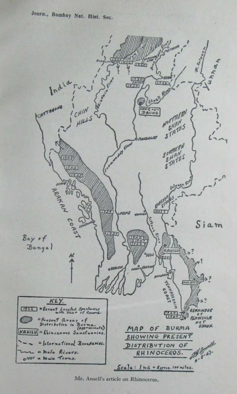 Rhino in Burma in 1947